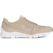 Baskets basses Geox sukie sneakers