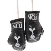 Accessoire sport Tottenham Hotspur Fc TA10710