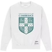 Sweat-shirt Cambridge University PN513