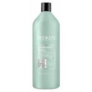 Soins cheveux Redken AMINO MINT shampoo 1000 ml