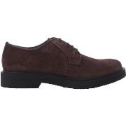 Chaussures Soldini 22574-X-VA2