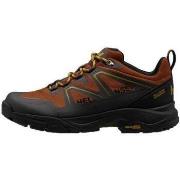 Chaussures Helly Hansen Cascade Low Ht