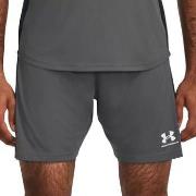 Short Under Armour 1379507-025