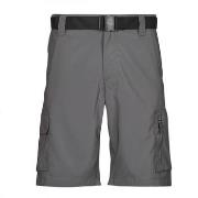 Short Columbia Silver Ridge Utility Cargo Short