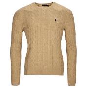 Pull Polo Ralph Lauren PULL COL ROND EN MAILLE TORSADEE