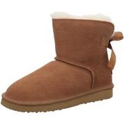 Bottes Oog -