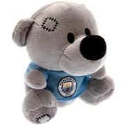 Accessoire sport Manchester City Fc Timmy