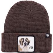 Chapeau Goorin Bros Brown Top Dog