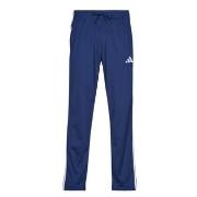 Jogging adidas -