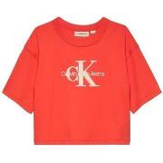 T-shirt enfant Calvin Klein Jeans IG0IG02742