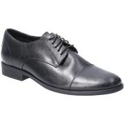 Derbies Hush puppies Ollie