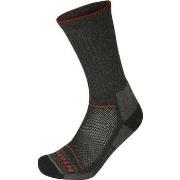 Chaussettes de sports Lorpen T2WE MERINO HIKER 2 PACK ECO