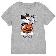 T-shirt enfant Disney Hello Pumpkin