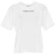 T-shirt Calvin Klein Jeans Coordinates logo gra