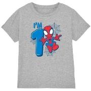 T-shirt enfant Marvel TV4112