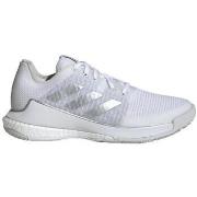 Chaussures adidas Crazyflight