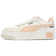 Baskets basses Puma 393846-04