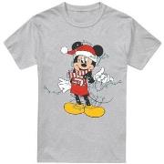 T-shirt Disney TV3557