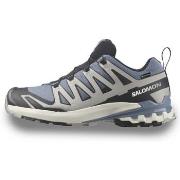 Chaussures Salomon Xa Pro 3D V9 Gtx