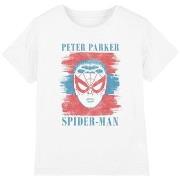 T-shirt enfant Marvel TV4851