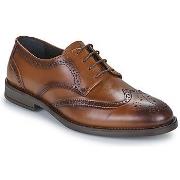 Derbies Carlington LOUVIAN