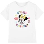 T-shirt enfant Disney It's My Birthday