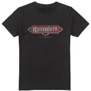 T-shirt Dungeons &amp; Dragons Ravenloft