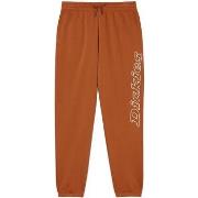 Pantalon Dickies -