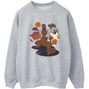 Sweat-shirt Scooby Doo BI53148