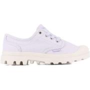 Baskets Palladium PAMPA OXFORD