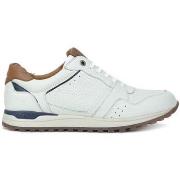 Baskets basses Kangaroos 37849