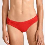 Maillots de bain Livia STAEL GECKO