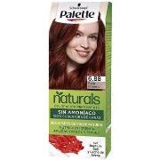 Colorations Palette Natural Teinture 6.88-rouge Intense