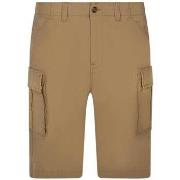 Short Timberland 163503VTPE24