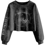 Sweat-shirt Harry Potter Hogwarts Constellation