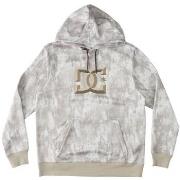 Sweat-shirt DC Shoes SHOES - Sweat à capuche - beige