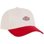 Casquette Dickies HARDWICK 2 TONE EGRET