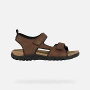 Sandales Geox U SANDAL STRADA