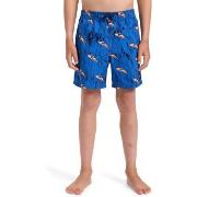 Maillots de bain enfant Quiksilver Next Gen 14"