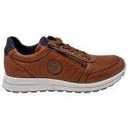 Baskets Ara CHAUSSURES 24505