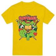 T-shirt Teenage Mutant Ninja Turtles Cool But Crude