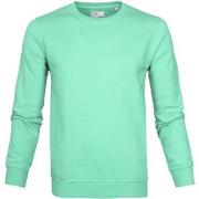 Sweat-shirt Colorful Standard -