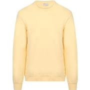 Sweat-shirt Colorful Standard Pull Jaune