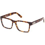 Lunettes de soleil Gcds GD5033 Cadres Optiques, Havana, 53 mm