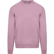 Sweat-shirt Colorful Standard Pull Violet