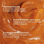 Peter Thomas Roth Masker met Pompoenenzymen 150 ml