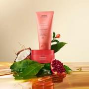 Aveda Nutriplenish Licht Hydraterende Conditioner 50 ml