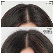 Redken Amino Mint Scalp Cleansing for Greasy Hair Shampoo and Acidic B...