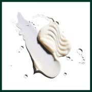 Aveda Nutriplenish Deep Moisture Bundle