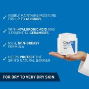 CeraVe Moisturising Cream 454g